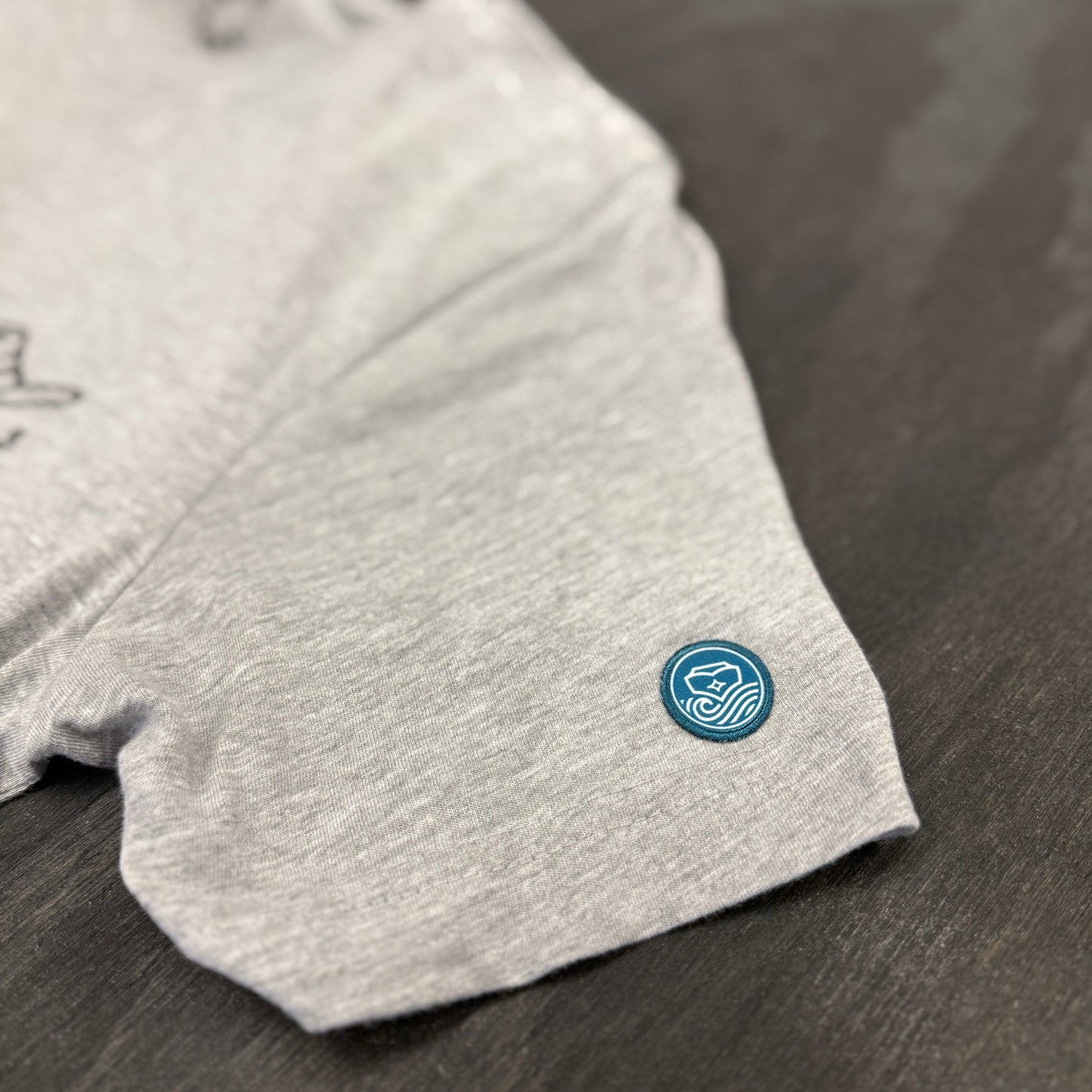 Gray t-shirt with a blue logo on a dark surface